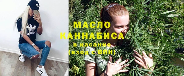 гашик Бородино