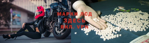 гашик Бородино