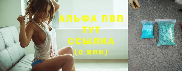 гашик Бородино