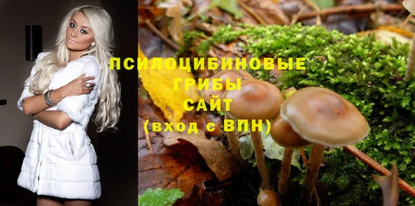 ешки Бугульма