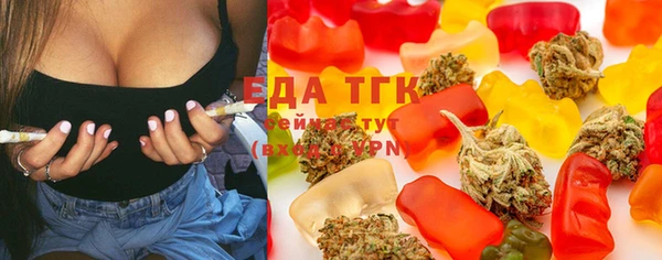 гашик Бородино
