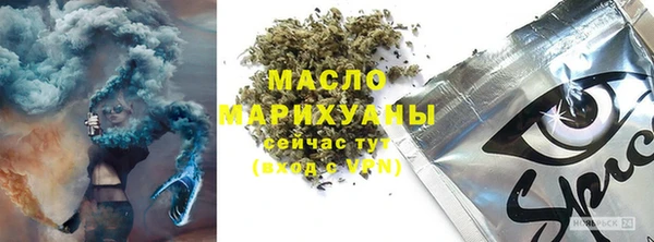 гашик Бородино