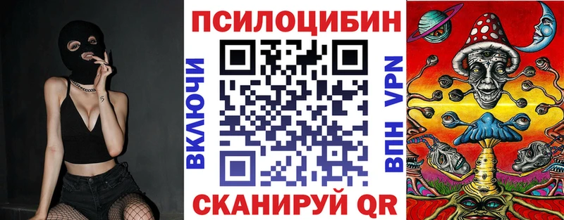 ссылка на мегу ТОР  где продают   Йошкар-Ола  Галлюциногенные грибы Psilocybe 